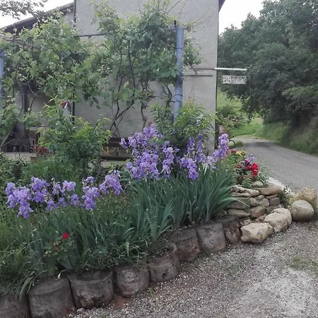 Bed & Breakfast San Nicola Medesano